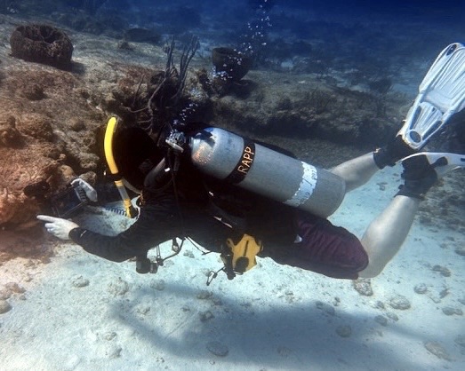 The Best Research…